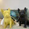Lampe Bulldog